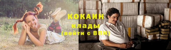 меф Инта