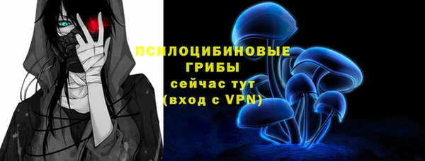 прущая мука Инсар