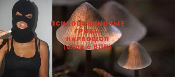 меф Инта