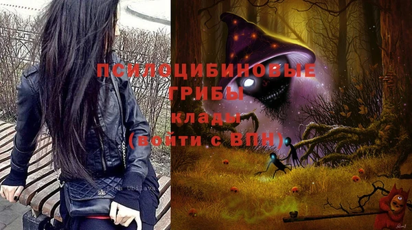 mix Иннополис